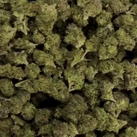 Lucky Flower – Indica – THCA - Video Thumbnail 1