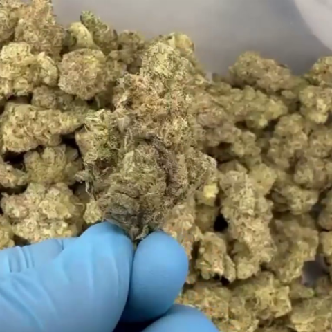 Peanut Butter Breath Flower – Hybrid – THCA - Video Thumbnail 1
