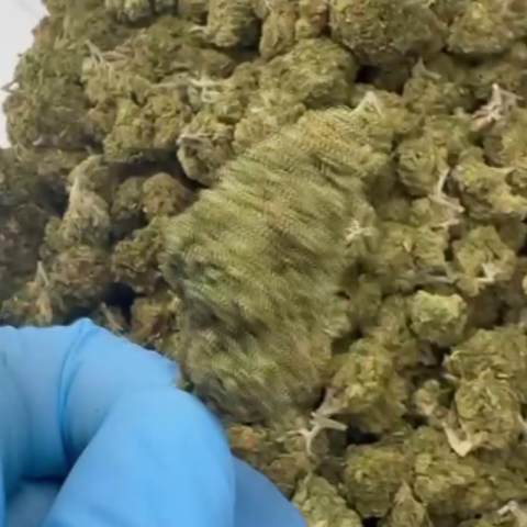 Pineapple Pizza Flower – Hybrid – THCA - Video Thumbnail 1