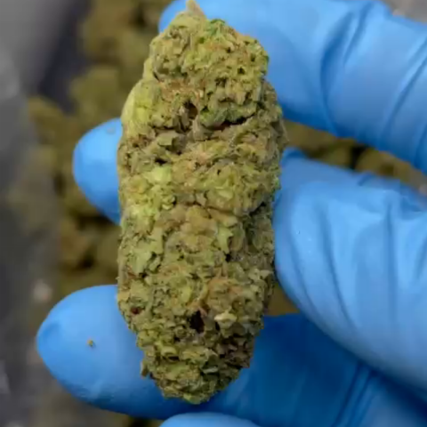 Runtz Flower - Hybrid - THCA - Video Thumbnail 1