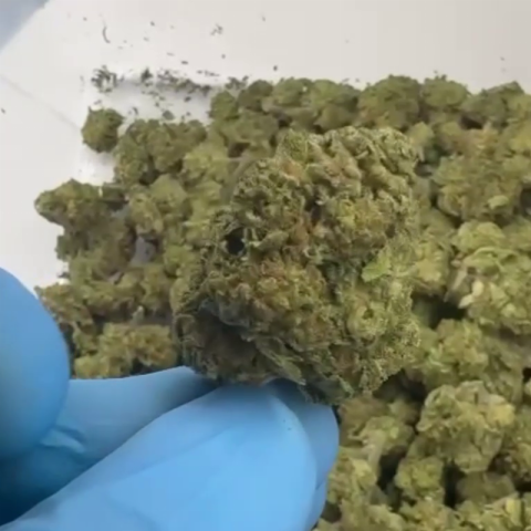 Sherbadough Flower – Hybrid – THCA - Video Thumbnail 1