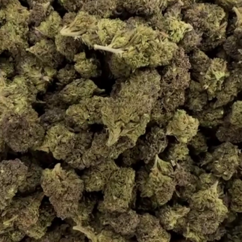 Wedding Wreck Flower – Hybrid – THCA - Video Thumbnail 1