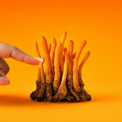 25mg D8 & Mushroom Blend Gummies - Shrooms - Video Thumbnail 1