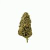 Illuminati Flower – Hybrid – THCA - Thumbnail 2