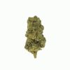 Black Cherry Gelato Flower - Indica - THCA - Thumbnail 2