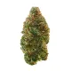 Garlic Cocktail Flower – Indica – THCA
