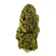 Gary Payton Flower – Hybrid – THCA
