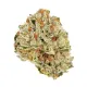 Apple Rock Candy Flower – Hybrid – THCA