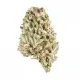 Cat Piss Flower – Sativa – THCA