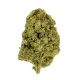 Wedding Pie Flower – Indica – THCA