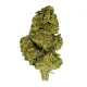 PBJ Flower – Hybrid – THCA