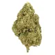 Cadillac Rainbow Flower – Hybrid – THCA