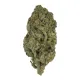 Pink Candy Flower - Sativa – THCA