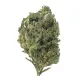Jelly Cake Flower – Indica – THCA
