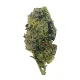 Silver Haze Flower – Sativa – THCA