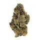 Candy Gelato Flower – Hybrid – THCA