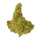Hammerhead Flower – Indica – THCA