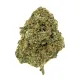 Fiji Mint Flower – Hybrid – THCA