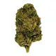 OG Plus (O+) Flower – Hybrid – THCA