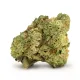 Italian Ice Flower – Hybrid – THCA