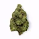 Area 41 Flower - Hybrid - THCA
