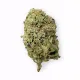 Head Band Flower – Hybrid – THCA
