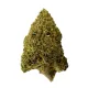 Master Kush Flower - Indica - THCA