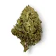 Red Congolese Flower – Sativa – THCA
