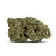 Beach Wedding Flower – Hybrid – THCA