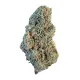 Blue Dream Flower – Hybrid – THCA