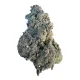Black Cherry Soda Flower - Hybrid - THCA