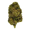 OG Plus (O+) Flower – Hybrid – THCA