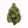 Area 41 Flower - Hybrid - THCA