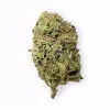 Head Band Flower – Hybrid – THCA