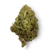 Red Congolese Flower – Sativa – THCA