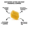 500mg D8, D9, THCP, Live Resin Gummies - Beast