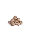 10mg Delta 8 Dough Bites - Chocolate Chip Bites - Chill Plus
